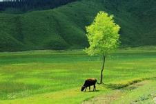 郑州到香格里拉旅游