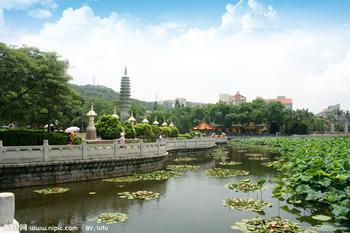 厦门旅游-南普陀